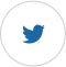 Icone Twitter